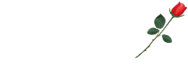7169390.gif
